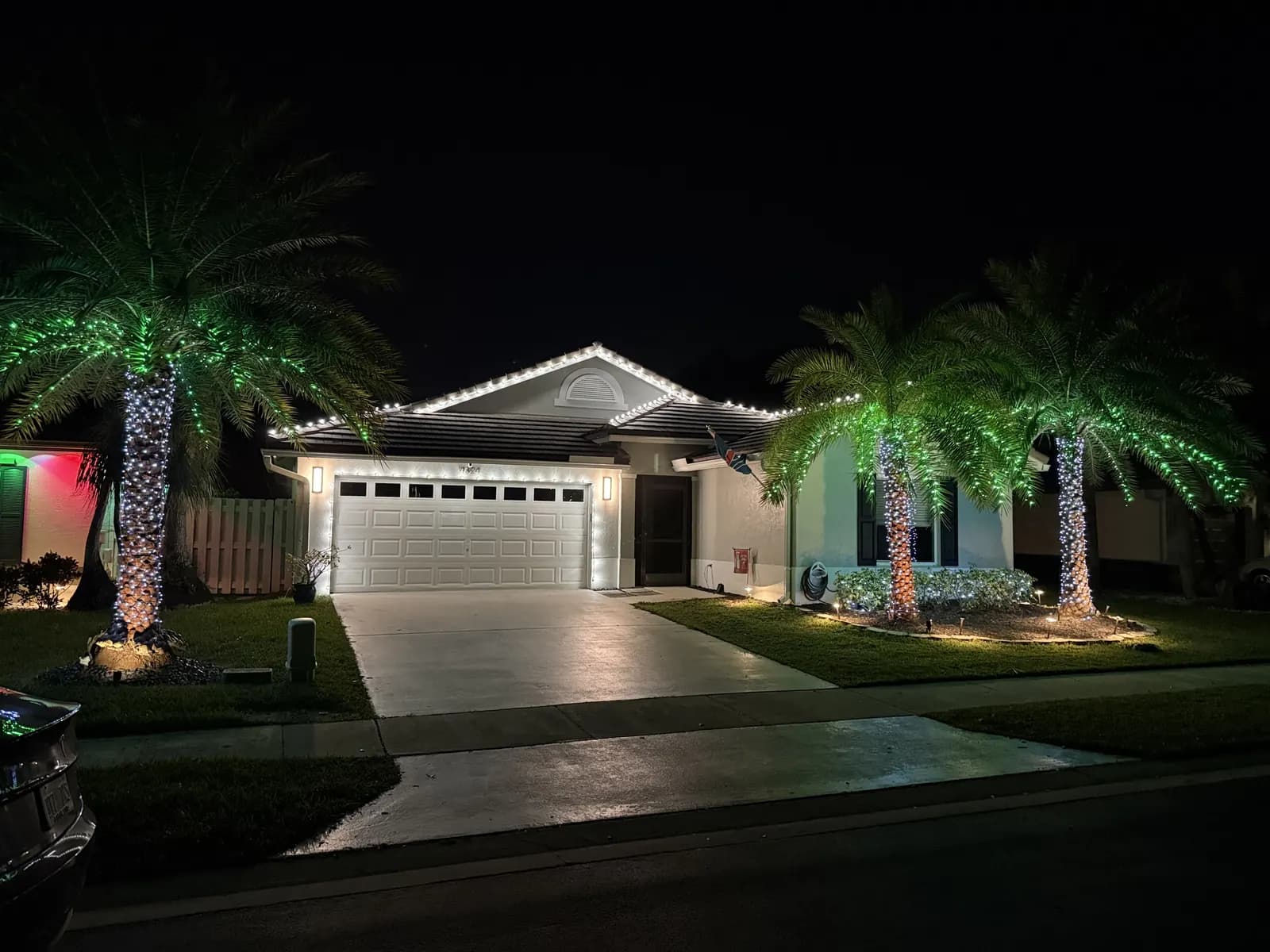 Recent install — roofline lights and palm trees wrapped for the holidays