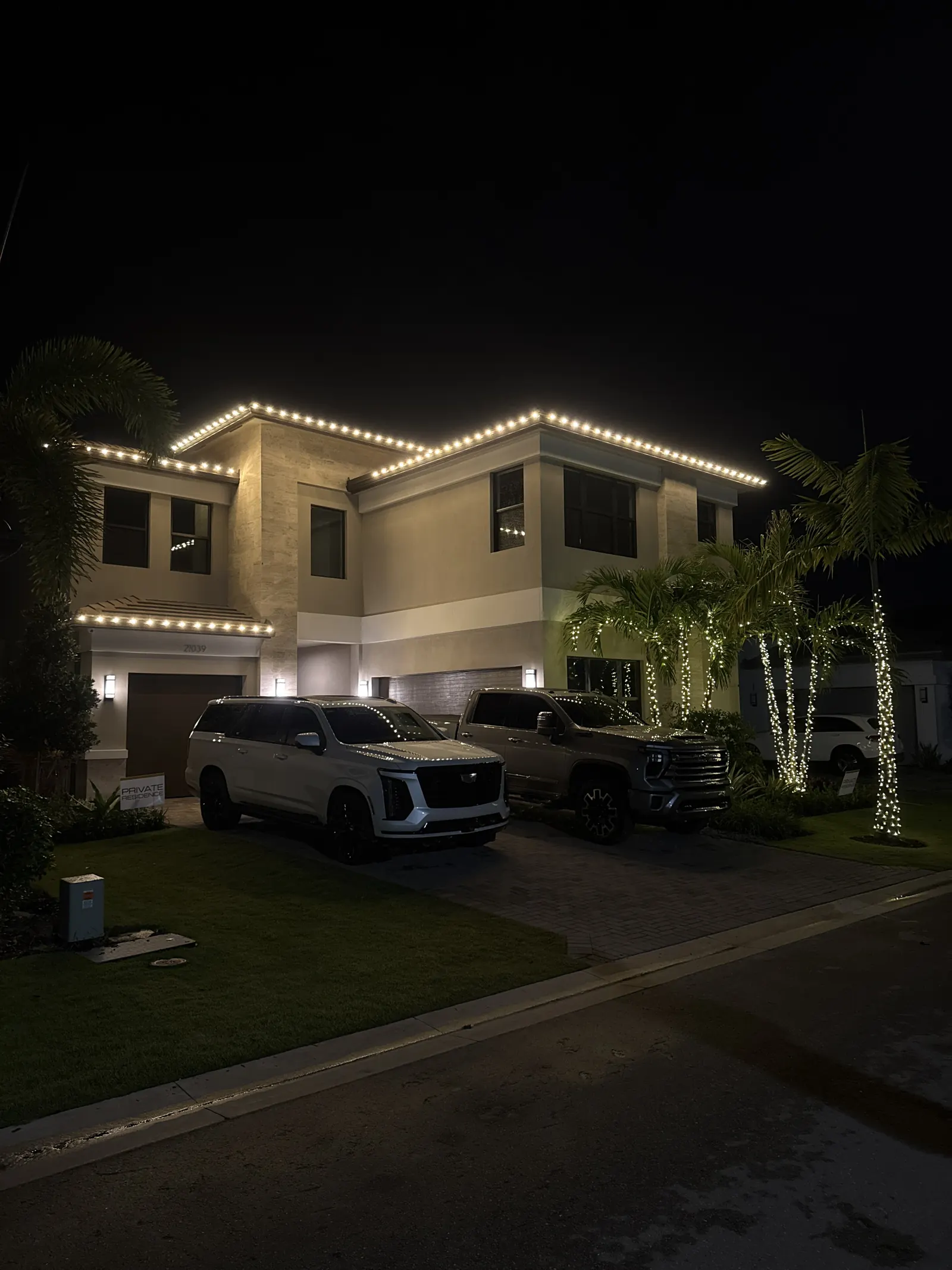 Recent install — warm white roofline and wrapped palms on a two-story home